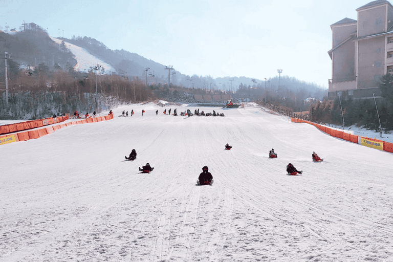 De Seul: excursão privada de um dia a Gangwondo - inglês ou espanholDe Seul: passeio privado de um dia a Gangwondo - inglês ou espanhol