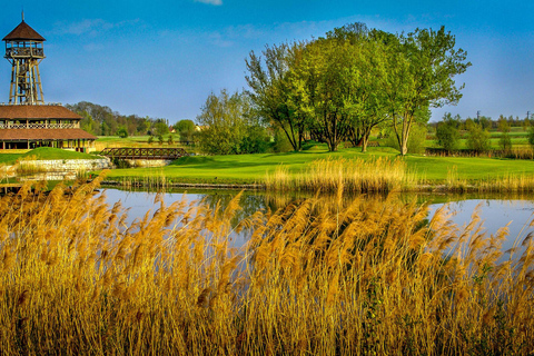 من براتيسلافا: العب الجولف في سلوفاكيا - شامل كليًا