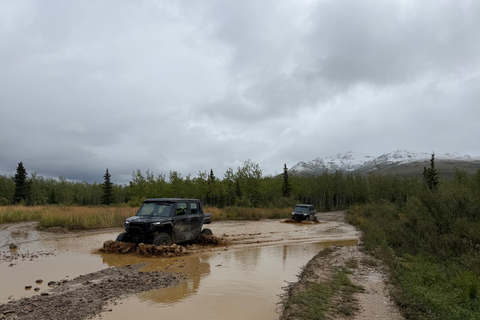 Denali ATV Wilderness Adventure - Guided ATV Tour Enclosed Side by Side ATV - 2 passengers
