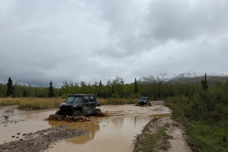 Denali ATV Wilderness Adventure - Guided ATV Tour Enclosed Side by Side ATV - 2 passengers