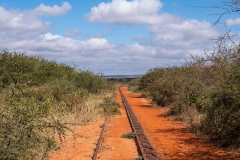 Overnight To Tsavo East from Mombasa/Diani