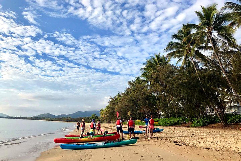 Palm Cove: Guided Half Day Turtle Kayak Tour