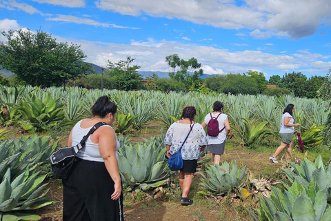 Hierve el agua: Een dag vol avontuur, cultuur en smaak