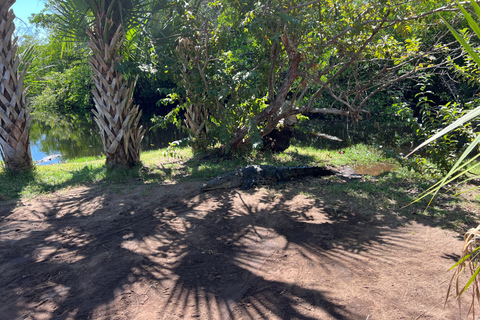 Desde Huatulco: Excursión Ecológica Cocodrilos y TortugasServicio Privado en Vehículo Avanza