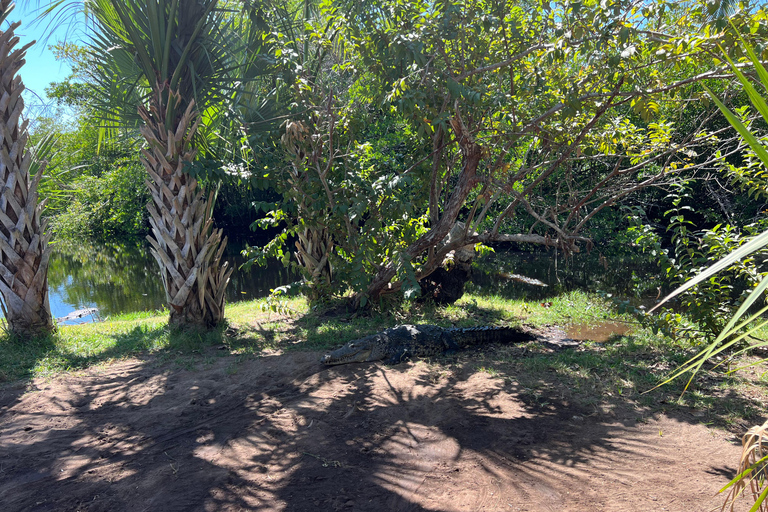 Desde Huatulco: Excursión Ecológica Cocodrilos y TortugasServicio Privado en Vehículo Avanza