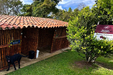 Epic Antioquia Adventure: ATVs Paragliding & Mountain Horses