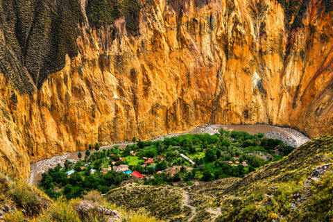 “Colca Canyon Trekking 2D/1N – Andean Experience”