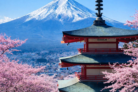 From Tokyo: Mount Fuji Private Tour With English Guide Route 2 Mount Fuji & Hakone: Full day customized Tour