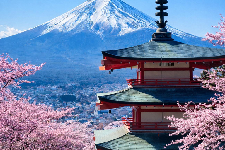 From Tokyo: Mount Fuji Private Tour With English Guide Route 2 Mount Fuji & Hakone: Full day customized Tour