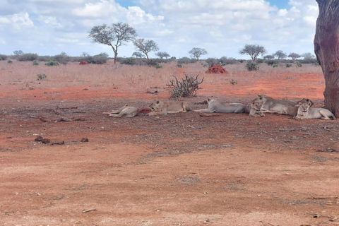 Red Elephants & Kilimanjaro Views: 3-day Tsavo East/Amboseli