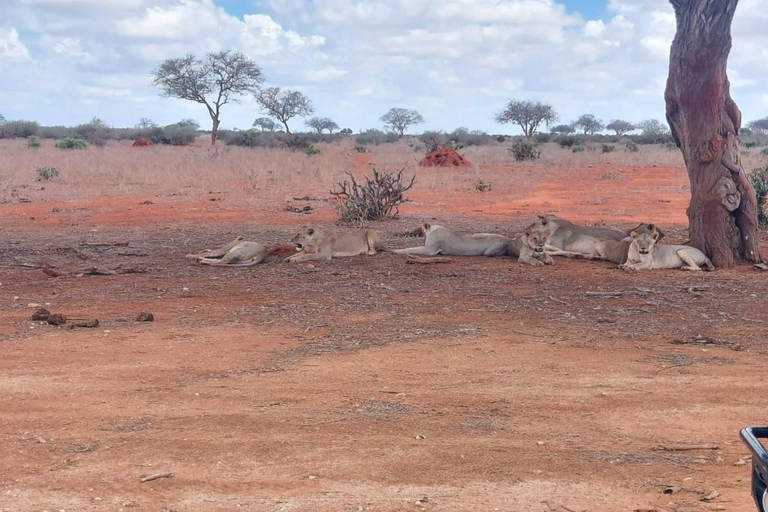 Red Elephants & Kilimanjaro Views: 3-day Tsavo East/Amboseli