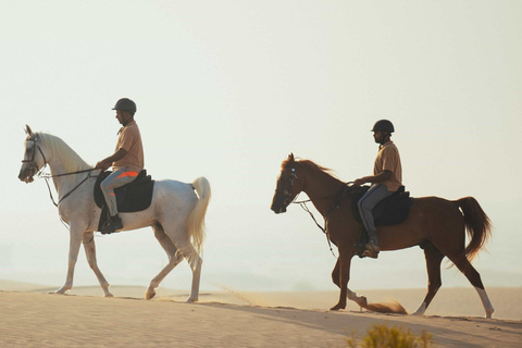 Doha: Fursan Al Sahra/Knights of the Desert Horse Experience