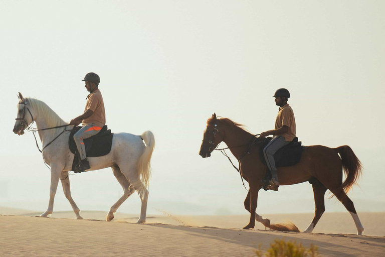 Doha: Fursan Al Sahra/Knights of the Desert Horse Experience