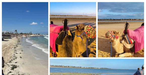 Djerba Camel Ride: Custom Route Beach or Lagoon + a Drink