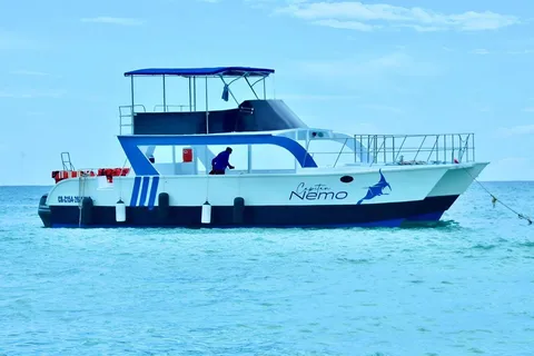 Punta Cana: Escursione di un giorno all'Isola di Catalina con snorkeling