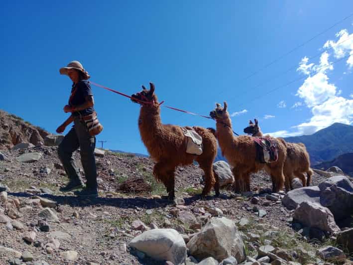 From Tilcara: Andean Trekking with llamas