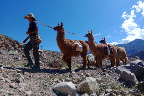 From Tilcara: Andean Trekking with Llamas