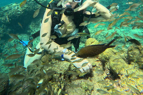 Alanya: Scuba Diving Boat Tour with Lunch and Equipment