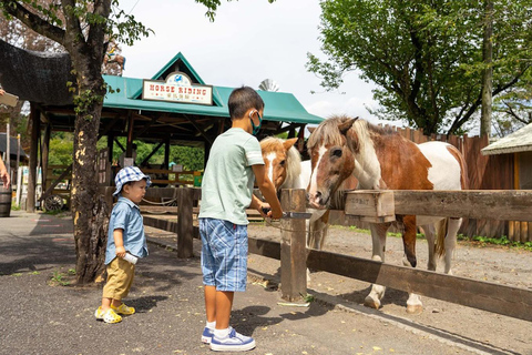 Mt Fuji Lake Tanuki & Makaino Farm Day Tour with Pickup 8:00 Meet at Tokyo Station Marunouchi North