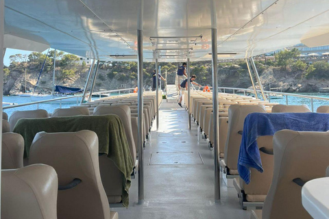 Depuis Palma : Après-midi d&#039;observation des dauphins en bateau13:11 Visite en bus de l&#039;arrêt 355 Taurus Park