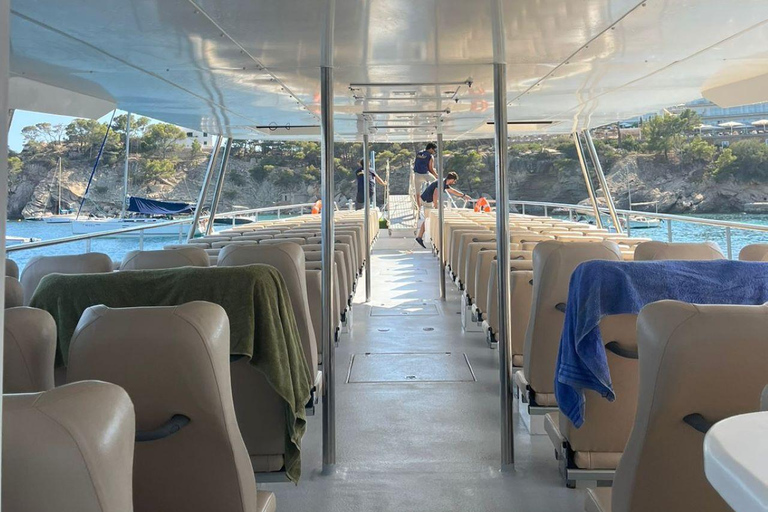 Depuis Palma : Après-midi d&#039;observation des dauphins en bateau13:00 Départ de l&#039;hôtel MLL Caribbean Bay