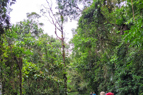 CAMINHO DO OURO - Geführte Tour durch den Atlantischen Wald, Wasserfälle und Geschichten.