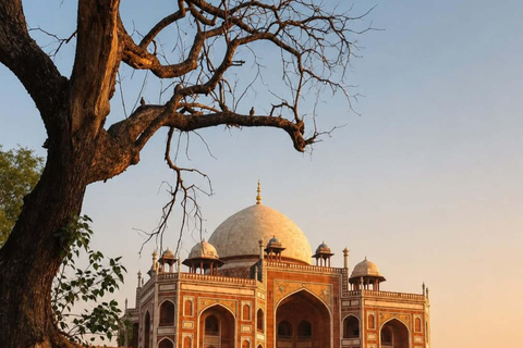 Delhi: Private Full-Day City Tour of Old and New Delhi Full Day Old and New Delhi City Tour ( Car + Guide )