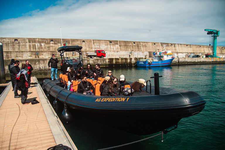 Isla de São Miguel: tour en barco por la costa norte salvajeRecorrido por la costa salvaje del norte - Tarde