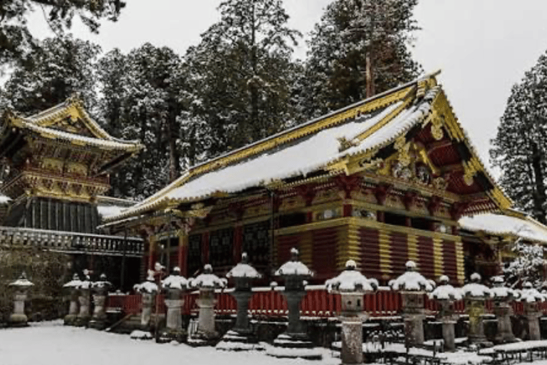 From Tokyo: Nikko Private Full-Day Heritage & Nature Tour