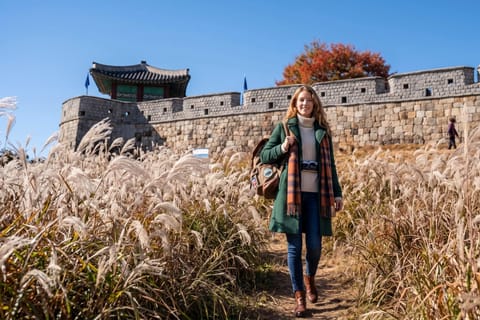 Suwon Fortress, Korean Folk Village and Cable Car from Seoul - Image 2