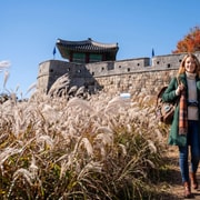Suwon Fortress, Korean Folk Village and Cable Car from Seoul