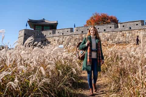 Suwon Fortress, Korean Folk Village and Cable Car from Seoul - Image 3