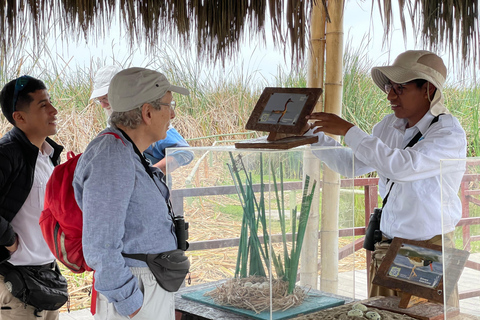 Lima silvestre: visita guidata a un rifugio naturale nel fiume Rímac