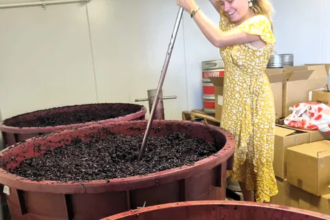 Desde Sydney: Excursión a Hunter Valley para catar vino, ginebra y comida