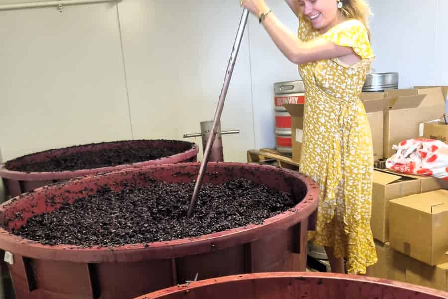 Von Sydney: Hunter Valley Wein-, Gin- und Foodtour. Foto: GetYourGuide