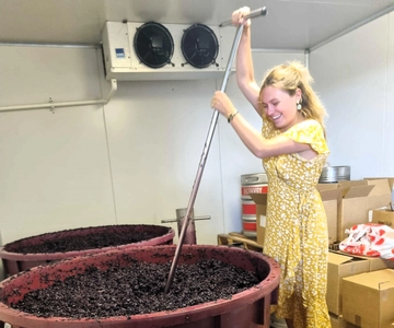 From Sydney: Hunter Valley Wine, Gin, & Food Tastings Tour