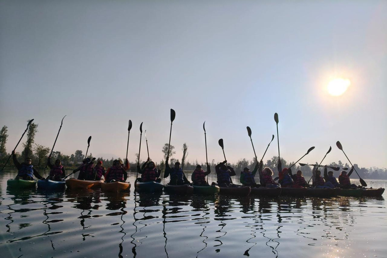 Xochimilco: Sunrise Kayaking, Breakfast and Axolotls Xochimilco: Sunrise Kayaking, Breakfast, and Axolotls