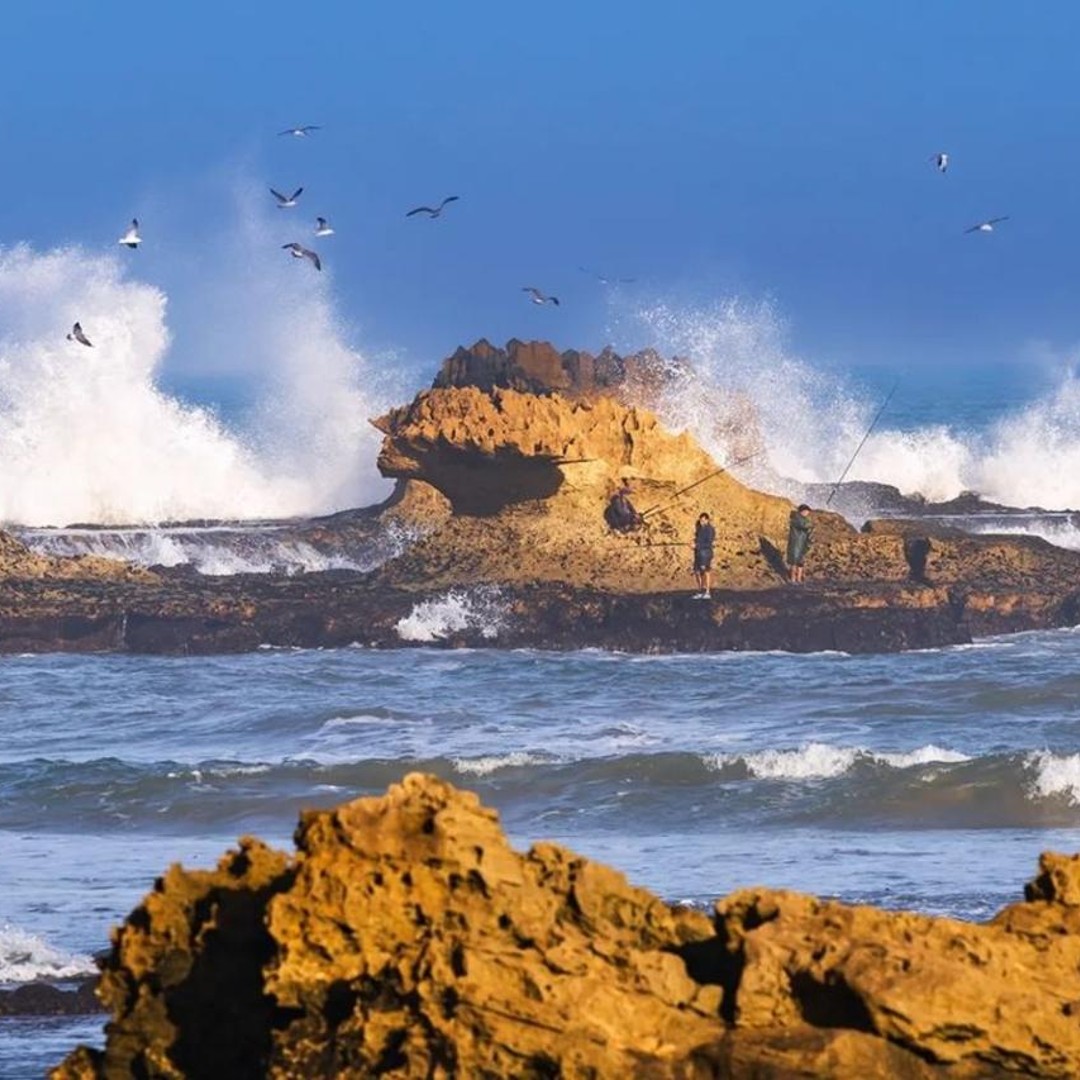 De Marrakech à Essaouira Mogador Excursion d'une journée en petit groupe - trekking