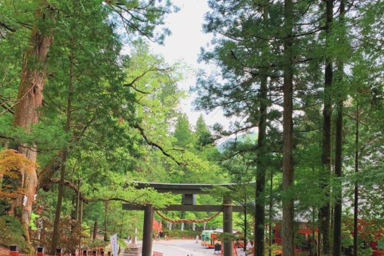 From Tokyo: Nikko UNESCO Sites Private English Guided Tour