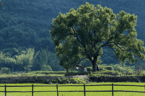 Yangshuo: Iconic Photo Route with Cormorant Raft & Transfers