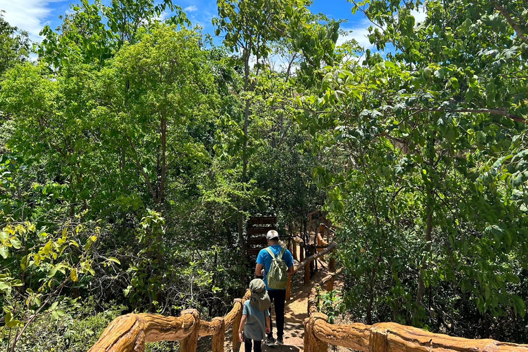 Tour particular ao Pha Chor Canyon e ao Parque Nacional Doi Inthanon