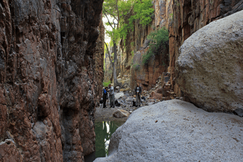 Tucson: Sonoran Desert Guided Hike with Naturalist Guide