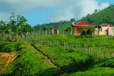 Excursión Safari desde Punta Cana