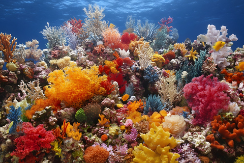 Łódź: City Highlights Private Tour & Orientarium Zoo Visit