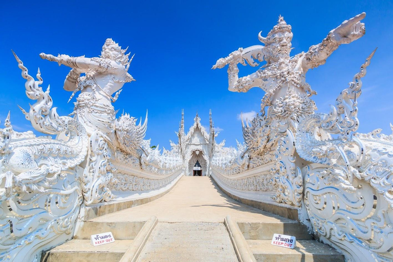 Chiang Mai: Chiang Rai Temples & Singha Park Day Trip