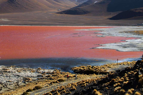 Uyuni Salt Flats et Red Lagoon 3 jours | Anglais dans le guide |