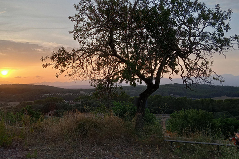 Mallorca: Randa Romantischer Ausritt bei Sonnenuntergang mit Getränken