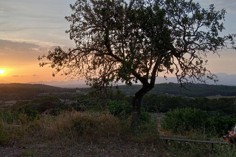 Mallorca: Randa romantische zonsondergang paardrijden met drankjes