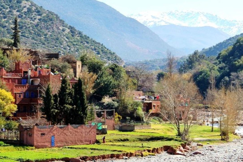 From Marrakech: Setti Fatma & Ourika Valley Tour with Lunch