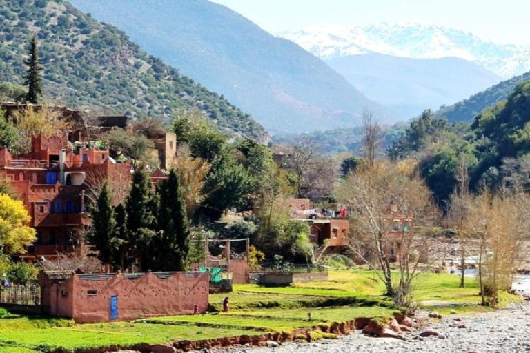 From Marrakech: Setti Fatma & Ourika Valley Tour with Lunch